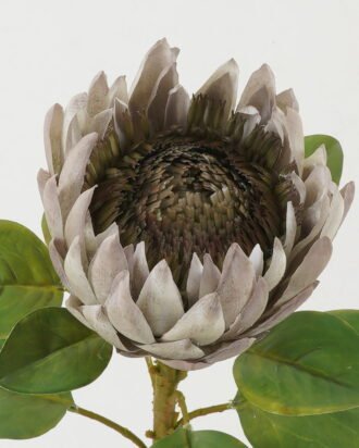 Artificial Flower 22*22*66cm Protea single stem GS-44322005-G1 Single Flowers YeahFlower is one of Chinese leading OEM manufacturers and exporters , supplying the silk flowers, wholesale artificial trees Artificial Flower 22*22*66cm Protea single stem GS-44322005-G1 Single Flowers YeahFlower is one of Chinese leading OEM manufacturers and exporters , supplying the silk flowers, wholesale artificial trees