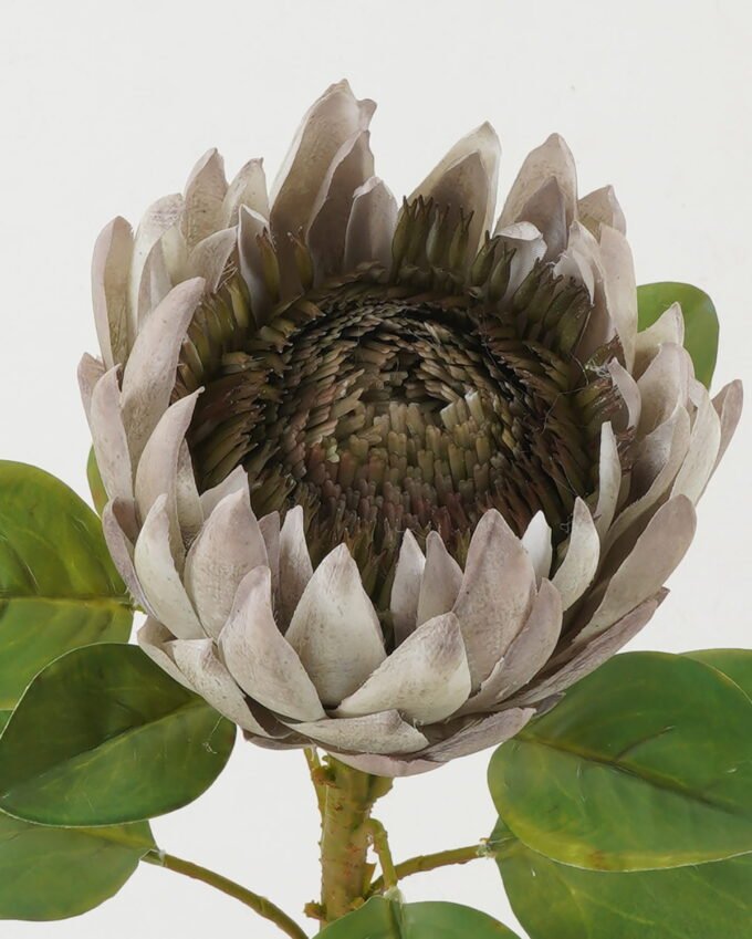 Artificial Flower Protea single stem GS-44322005-G1_6 Artificial Flower 22*22*66cm Protea single stem GS-44322005-G1 Single Flowers YeahFlower is one of Chinese leading OEM manufacturers and exporters , supplying the silk flowers, wholesale artificial trees