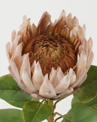 Artificial Flower 22*22*66cm Protea single stem GS-44322005-K1 Single Flowers YeahFlower is one of Chinese leading OEM manufacturers and exporters , supplying the silk flowers, wholesale artificial trees Artificial Flower 22*22*66cm Protea single stem GS-44322005-K1 Single Flowers YeahFlower is one of Chinese leading OEM manufacturers and exporters , supplying the silk flowers, wholesale artificial trees