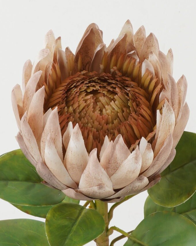 Artificial Flower 22*22*66cm Protea single stem GS-44322005-K1 Single Flowers YeahFlower is one of Chinese leading OEM manufacturers and exporters , supplying the silk flowers, wholesale artificial trees
