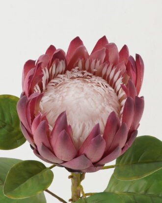 Artificial Flower 22*22*66cm Protea single stem GS-44322005-R1 Single Flowers YeahFlower is one of Chinese leading OEM manufacturers and exporters , supplying the silk flowers, wholesale artificial trees Artificial Flower 22*22*66cm Protea single stem GS-44322005-R1 Single Flowers YeahFlower is one of Chinese leading OEM manufacturers and exporters , supplying the silk flowers, wholesale artificial trees