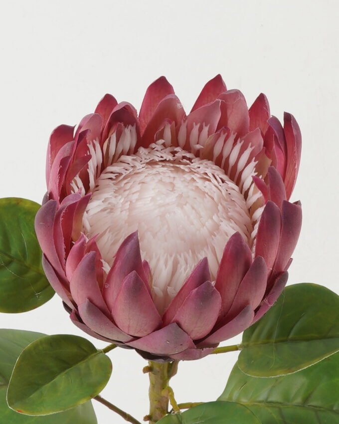 Artificial Flower 22*22*66cm Protea single stem GS-44322005-R1 Single Flowers YeahFlower is one of Chinese leading OEM manufacturers and exporters , supplying the silk flowers, wholesale artificial trees