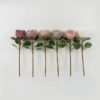 Artificial Flower Protea single stem GS-44322005_6 Artificial Flower 22*22*66cm Protea single stem GS-44322005 Single Flowers YeahFlower is one of Chinese leading OEM manufacturers and exporters , supplying the silk flowers, wholesale artificial trees