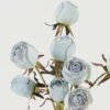 Artificial Flower Rose 2 bush GS-25822020-B1_6 Artificial Flower 25*25*57cm Rose *2 bush GS-25822020-B1 Bouquet YeahFlower is one of Chinese leading OEM manufacturers and exporters , supplying the silk flowers, wholesale artificial trees