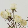 Artificial Flower Rose 2 bush GS-25822020-W1_6 Artificial Flower 25*25*57cm Rose *2 bush GS-25822020-W1 Bouquet YeahFlower is one of Chinese leading OEM manufacturers and exporters , supplying the silk flowers, wholesale artificial trees