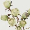 Artificial Flower Rose 2 bush GS-25822020_2 Artificial Flower 25*25*57cm Rose *2 bush GS-25822020 Bouquet YeahFlower is one of Chinese leading OEM manufacturers and exporters , supplying the silk flowers, wholesale artificial trees