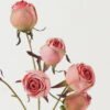 Artificial Flower 18*18*58cm Rose *6 single stem GS-25822019-P2 Bouquet YeahFlower is one of Chinese leading OEM manufacturers and exporters , supplying the silk flowers, wholesale artificial trees
