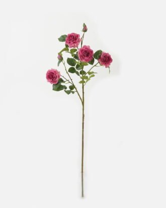 Artificial Flower 25*25*93cm Rose *7 single stem GS-44322008-P2 Single Flowers YeahFlower is one of Chinese leading OEM manufacturers and exporters , supplying the silk flowers, wholesale artificial trees Artificial Flower 25*25*93cm Rose *7 single stem GS-44322008-P2 Single Flowers YeahFlower is one of Chinese leading OEM manufacturers and exporters , supplying the silk flowers, wholesale artificial trees