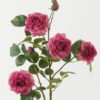 Artificial Flower Rose 7 single stem GS-44322008-P2_1 Artificial Flower 25*25*93cm Rose *7 single stem GS-44322008-P2 Single Flowers YeahFlower is one of Chinese leading OEM manufacturers and exporters , supplying the silk flowers, wholesale artificial trees