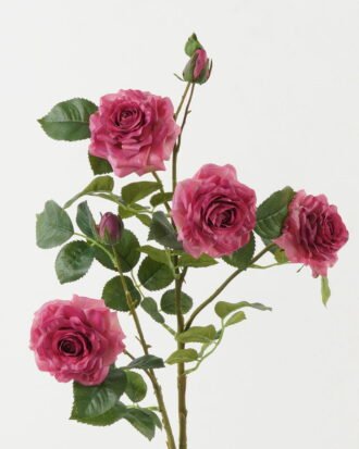 Artificial Flower 25*25*93cm Rose *7 single stem GS-44322008-P2 Single Flowers YeahFlower is one of Chinese leading OEM manufacturers and exporters , supplying the silk flowers, wholesale artificial trees Artificial Flower 25*25*93cm Rose *7 single stem GS-44322008-P2 Single Flowers YeahFlower is one of Chinese leading OEM manufacturers and exporters , supplying the silk flowers, wholesale artificial trees