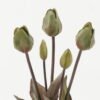 Artificial Flower Tulipa 5 bush GS-44322006-G1_6 Artificial Flower 18*18*47cm Tulipa *5 bush GS-44322006-G1 Bouquet YeahFlower is one of Chinese leading OEM manufacturers and exporters , supplying the silk flowers, wholesale artificial trees