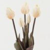 Artificial Flower Tulipa 5 bush GS-44322006-W1_6 Artificial Flower 18*18*47cm Tulipa *5 bush GS-44322006-W1 Bouquet YeahFlower is one of Chinese leading OEM manufacturers and exporters , supplying the silk flowers, wholesale artificial trees