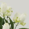 Artificial Flower 28*28*42cm Tulipa *7 bush GS-05522093 Flowers Bush YeahFlower is one of Chinese leading OEM manufacturers and exporters , supplying the silk flowers, wholesale artificial trees