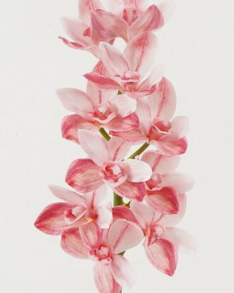 Artificial Flower 16*16*53cm Whelan *10 single stem GS-44322013-P1 Single Flowers YeahFlower is one of Chinese leading OEM manufacturers and exporters , supplying the silk flowers, wholesale artificial trees Artificial Flower 16*16*53cm Whelan *10 single stem GS-44322013-P1 Single Flowers YeahFlower is one of Chinese leading OEM manufacturers and exporters , supplying the silk flowers, wholesale artificial trees