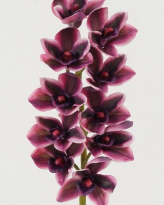 Artificial Flower 16*16*53cm Whelan *10 single stem GS-44322013-Z1 Single Flowers YeahFlower is one of Chinese leading OEM manufacturers and exporters , supplying the silk flowers, wholesale artificial trees Artificial Flower 16*16*53cm Whelan *10 single stem GS-44322013-Z1 Single Flowers YeahFlower is one of Chinese leading OEM manufacturers and exporters , supplying the silk flowers, wholesale artificial trees