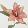 Artificial Flower lily 2 single stem GS-44322007-O1_6 Artificial Flower 25*25*51cm lily *2 single stem GS-44322007-O1 Single Flowers YeahFlower is one of Chinese leading OEM manufacturers and exporters , supplying the silk flowers, wholesale artificial trees