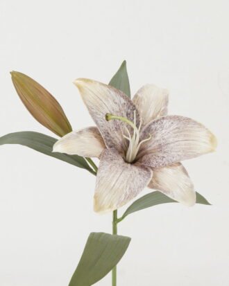 Artificial Flower 25*25*51cm lily *2 single stem GS-44322007-Y1 Single Flowers YeahFlower is one of Chinese leading OEM manufacturers and exporters , supplying the silk flowers, wholesale artificial trees