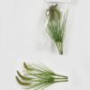 Artificial Grass 12*12*30 CM grass in PE bag GS-61922076-G1 Leaves&Sprays&Foliages YeahFlower is one of Chinese leading OEM manufacturers and exporters , supplying the silk flowers, wholesale artificial trees