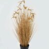 Artificial Grass 38*38*88cm Rice Ears grass *10 in PP pot GS-29422117 Grass&PLANT YeahFlower is one of Chinese leading OEM manufacturers and exporters , supplying the silk flowers, wholesale artificial trees