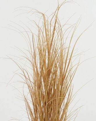 Artificial Grass 38*38*88cm  grass  in PP pot GS-29422119 Grass&PLANT YeahFlower is one of Chinese leading OEM manufacturers and exporters , supplying the silk flowers, wholesale artificial trees