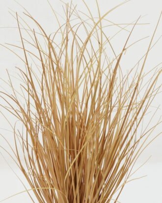 Artificial Grass 28*28*55cm  grass  in PP pot GS-29422120 Grass&PLANT YeahFlower is one of Chinese leading OEM manufacturers and exporters , supplying the silk flowers, wholesale artificial trees