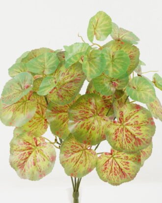 Artificial Plant 30*30*42cm Begonia *7 bush GS-29822037-G1 Banners&Garlands YeahFlower is one of Chinese leading OEM manufacturers and exporters , supplying the silk flowers, wholesale artificial trees Artificial Plant 30*30*42cm Begonia *7 bush GS-29822037-G1 Banners&Garlands YeahFlower is one of Chinese leading OEM manufacturers and exporters , supplying the silk flowers, wholesale artificial trees