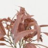 Artificial Plant 33*33*39cm Eucalyptus leaf *5 bush GS-25822018-R1 Bouquet YeahFlower is one of Chinese leading OEM manufacturers and exporters , supplying the silk flowers, wholesale artificial trees