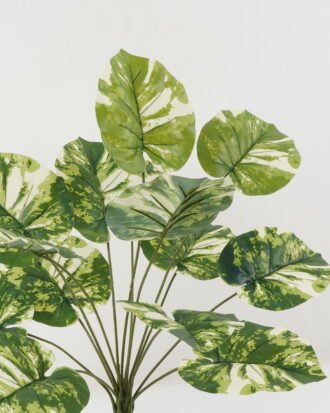 Artificial Plant 24*24*55cm Foliage *14 bush GS-29822031 Leaves&Sprays&Foliages YeahFlower is one of Chinese leading OEM manufacturers and exporters , supplying the silk flowers, wholesale artificial trees