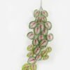 Artificial Plant Foliage 3 Hanging Bush GS-66422008CONTI_4 Artificial Plant 75*170cm Foliage *3 Hanging Bush GS-66422008CONTI Banners&Garlands YeahFlower is one of Chinese leading OEM manufacturers and exporters , supplying the silk flowers, wholesale artificial trees