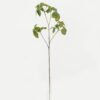 Artificial Plant 30*30*94cm Foliage single stem GS-51622010-G2 Leaves&Sprays&Foliages YeahFlower is one of Chinese leading OEM manufacturers and exporters , supplying the silk flowers, wholesale artificial trees