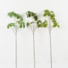 Artificial Plant 30*30*94cm Foliage single stem GS-51622010 Leaves&Sprays&Foliages YeahFlower is one of Chinese leading OEM manufacturers and exporters , supplying the silk flowers, wholesale artificial trees