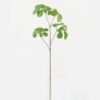 Artificial Plant 30*30*94cm Foliage single stem GS-51622010 Leaves&Sprays&Foliages YeahFlower is one of Chinese leading OEM manufacturers and exporters , supplying the silk flowers, wholesale artificial trees