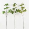 Artificial Plant 35*35*112cm Foliage single stem GS-51622011 Leaves&Sprays&Foliages YeahFlower is one of Chinese leading OEM manufacturers and exporters , supplying the silk flowers, wholesale artificial trees