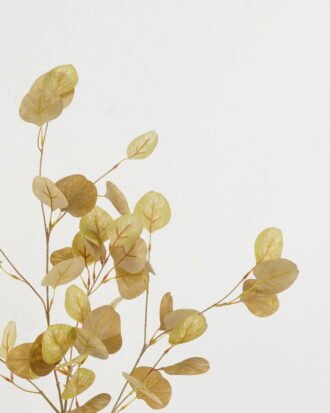 Artificial Plant 35*35*99cm Money leaves single stem GS-25822011-Y1 Leaves&Sprays&Foliages YeahFlower is one of Chinese leading OEM manufacturers and exporters , supplying the silk flowers, wholesale artificial trees