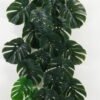 Artificial Plant Monstera 3 Hanging Bush GS-66422001CONTI_6 Artificial Plant 75*218cm Monstera *3 Hanging Bush GS-66422001CONTI Banners&Garlands YeahFlower is one of Chinese leading OEM manufacturers and exporters , supplying the silk flowers, wholesale artificial trees