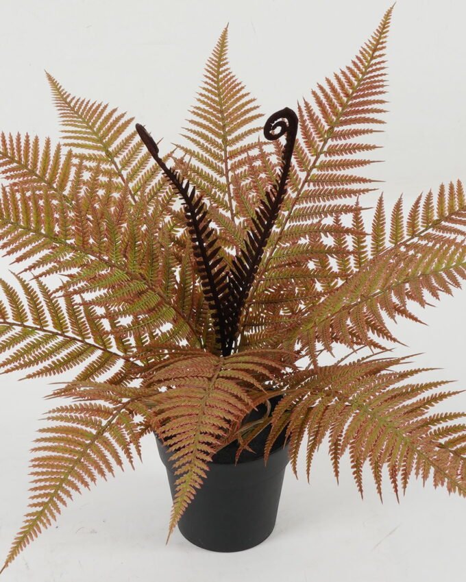 Artificial Table Plants 50*50*33cm Boston fern in PP pot GS-03322114 Potted Flowers&Plants YeahFlower is one of Chinese leading OEM manufacturers and exporters , supplying the silk flowers, wholesale artificial trees