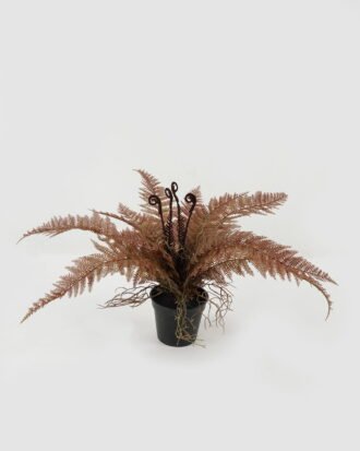 Artificial Table Plants 70*70*34cm Fern in PP pot GS-03322115 Potted Flowers&Plants YeahFlower is one of Chinese leading OEM manufacturers and exporters , supplying the silk flowers, wholesale artificial trees