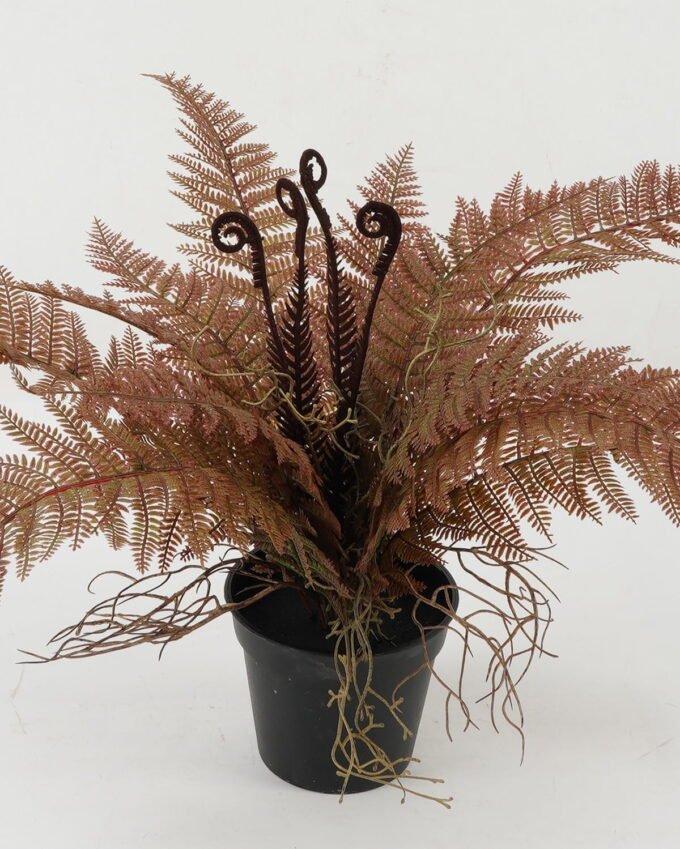 Artificial Table Plants 70*70*34cm Fern in PP pot GS-03322115 Potted Flowers&Plants YeahFlower is one of Chinese leading OEM manufacturers and exporters , supplying the silk flowers, wholesale artificial trees