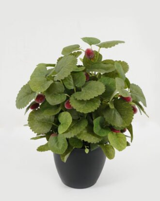 Artificial Table Plants GS-03322117 Potted Flowers&Plants YeahFlower is one of Chinese leading OEM manufacturers and exporters , supplying the silk flowers, wholesale artificial trees Artificial Table Plants GS-03322117 Potted Flowers&Plants YeahFlower is one of Chinese leading OEM manufacturers and exporters , supplying the silk flowers, wholesale artificial trees