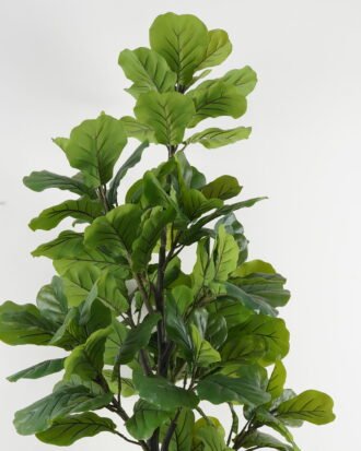 Artificial Tree 75*60*180cm Ficus lyata tree *13 in PP pot GS-30422061 Tree&Plant YeahFlower is one of Chinese leading OEM manufacturers and exporters , supplying the silk flowers, wholesale artificial trees Artificial Tree 75*60*180cm Ficus lyata tree *13 in PP pot GS-30422061 Tree&Plant YeahFlower is one of Chinese leading OEM manufacturers and exporters , supplying the silk flowers, wholesale artificial trees