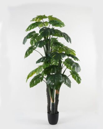 Artificial Tree 88*76*174cm Turtle tree *3 in PP pot GS-30422062 Tree&Plant YeahFlower is one of Chinese leading OEM manufacturers and exporters , supplying the silk flowers, wholesale artificial trees Artificial Tree 88*76*174cm Turtle tree *3 in PP pot GS-30422062 Tree&Plant YeahFlower is one of Chinese leading OEM manufacturers and exporters , supplying the silk flowers, wholesale artificial trees