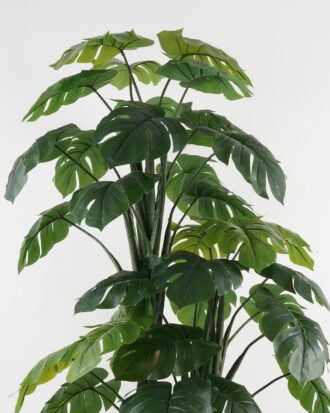 Artificial Tree 88*76*174cm Turtle tree *3 in PP pot GS-30422062 Tree&Plant YeahFlower is one of Chinese leading OEM manufacturers and exporters , supplying the silk flowers, wholesale artificial trees Artificial Tree 88*76*174cm Turtle tree *3 in PP pot GS-30422062 Tree&Plant YeahFlower is one of Chinese leading OEM manufacturers and exporters , supplying the silk flowers, wholesale artificial trees