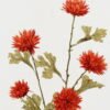 Artificial Flower 20*20*65cm Chrysanthemum *5 single stem GS-46322021-R1 Single Flowers YeahFlower is one of Chinese leading OEM manufacturers and exporters , supplying the silk flowers, wholesale artificial trees