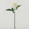 Artificial Flower 19*19*42cm Dahlia single stem GS-46322009 Single Flowers YeahFlower is one of Chinese leading OEM manufacturers and exporters , supplying the silk flowers, wholesale artificial trees