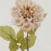 Artificial Flower Dahlia single stem GS-46322010-W1_5 Artificial Flower 22*22*59cm Dahlia single stem GS-46322010-W1 Single Flowers YeahFlower is one of Chinese leading OEM manufacturers and exporters , supplying the silk flowers, wholesale artificial trees