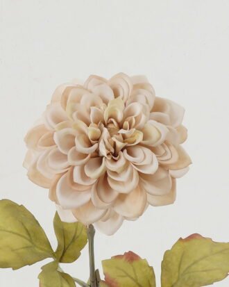 Artificial Flower 18*18*59cm Dahlia single stem GS-46322017DP-W2 Single Flowers YeahFlower is one of Chinese leading OEM manufacturers and exporters , supplying the silk flowers, wholesale artificial trees Artificial Flower 18*18*59cm Dahlia single stem GS-46322017DP-W2 Single Flowers YeahFlower is one of Chinese leading OEM manufacturers and exporters , supplying the silk flowers, wholesale artificial trees