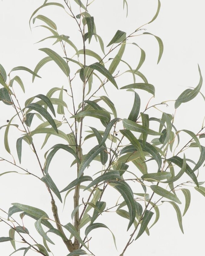 Artificial Flower Eucalyptus 9 in PP pot GS-68522003KD_6 Artificial Flower 65*55*180cm Eucalyptus *9 in PP pot GS-68522003KD Single Flowers YeahFlower is one of Chinese leading OEM manufacturers and exporters , supplying the silk flowers, wholesale artificial trees