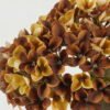 Artificial Flower 24*24*38cm Flower *3 bundle GS-15422066-K1 Bouquet YeahFlower is one of Chinese leading OEM manufacturers and exporters , supplying the silk flowers, wholesale artificial trees