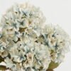 Artificial Flower 28*28*41cm Flower *5 bush GS-15422065-B1 Flowers Bush YeahFlower is one of Chinese leading OEM manufacturers and exporters , supplying the silk flowers, wholesale artificial trees