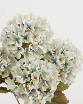 Artificial Flower 28*28*41cm Flower *5 bush GS-15422065-B1 Flowers Bush YeahFlower is one of Chinese leading OEM manufacturers and exporters , supplying the silk flowers, wholesale artificial trees
